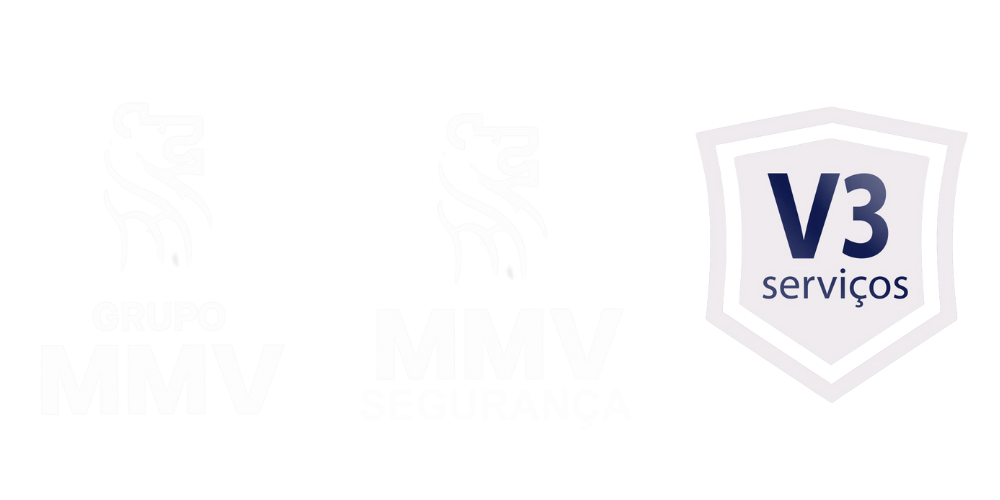 Grupo MMV Services